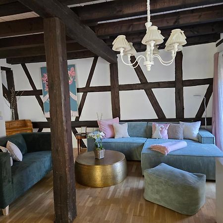 Chalet Madeleine - 160 Qm Ferienhaus Baden-Baden Kültér fotó