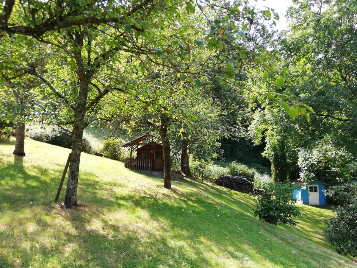 Chalet Madeleine - 160 Qm Ferienhaus Baden-Baden Kültér fotó