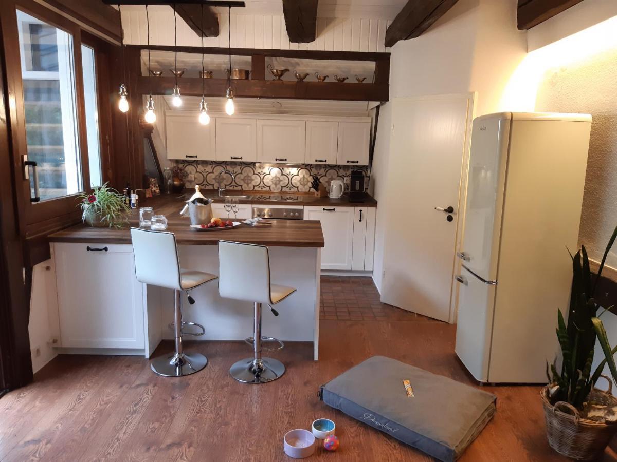 Chalet Madeleine - 160 Qm Ferienhaus Baden-Baden Kültér fotó